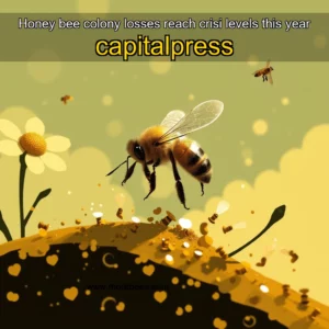 Read more about the article Honey bee colony losses reach crisi levels this year  capitalpress